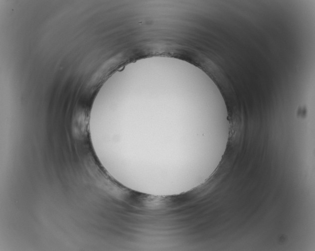 X0000113140142200909251313