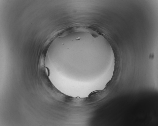 X0000113140143200909251313