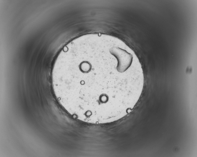 X0000113140146200909251312