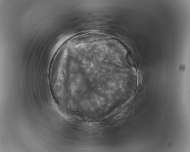 X0000113140147200909251312