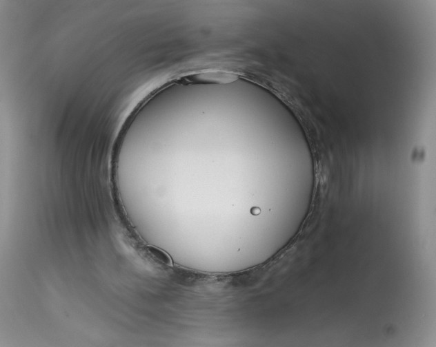 X0000113140148200909251312