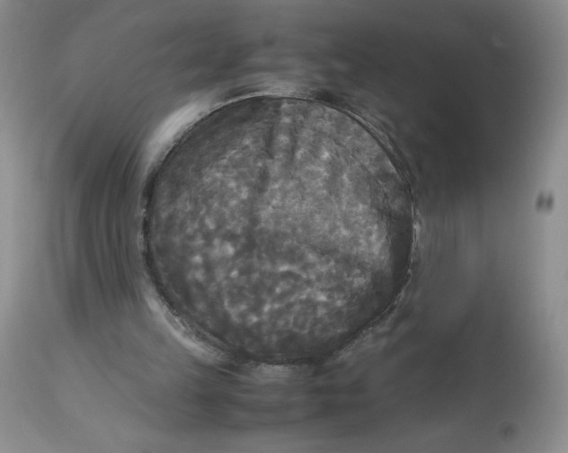 X0000113140149200909251312