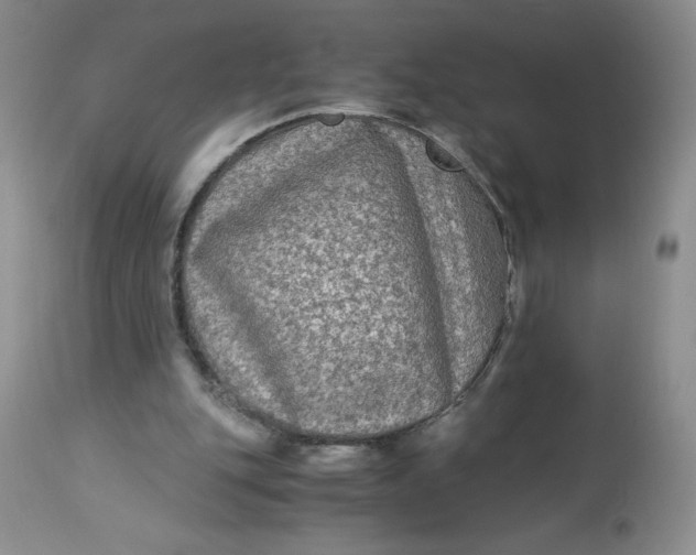 X0000113140151200909251312