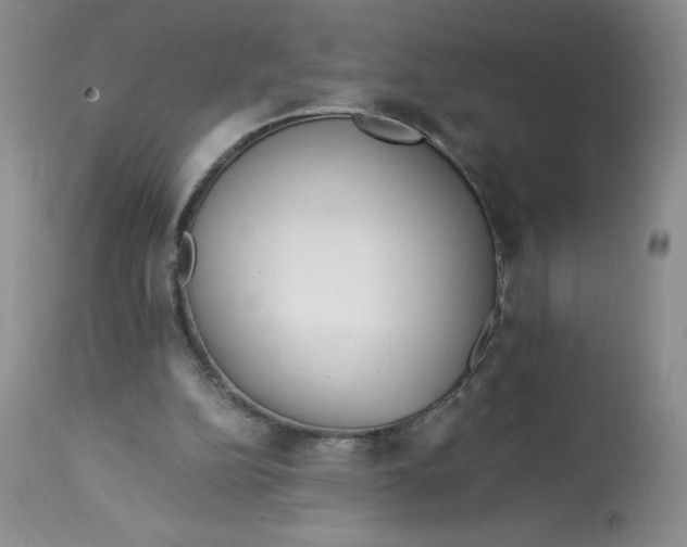 X0000113140152200909251312