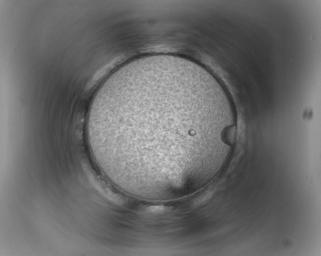 X0000113140153200909251312