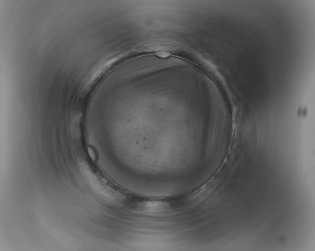 X0000113140154200909251312