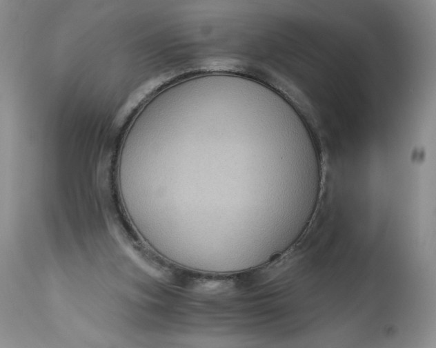 X0000113140155200909251312