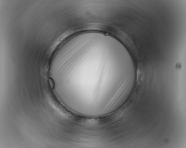 X0000113140156200909251313