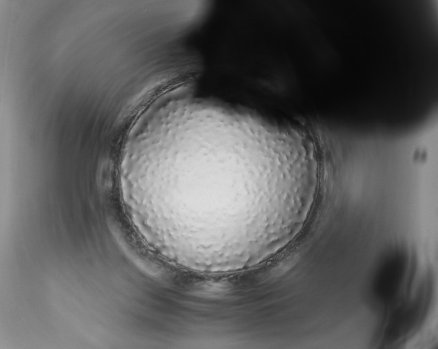 X0000113140157200909251313