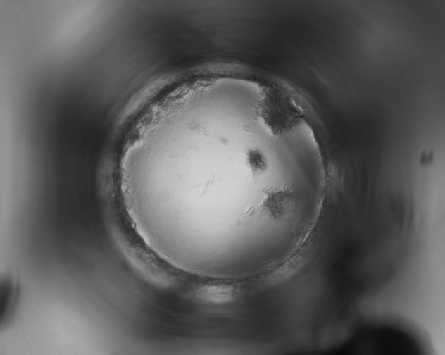 X0000113140158200909251313