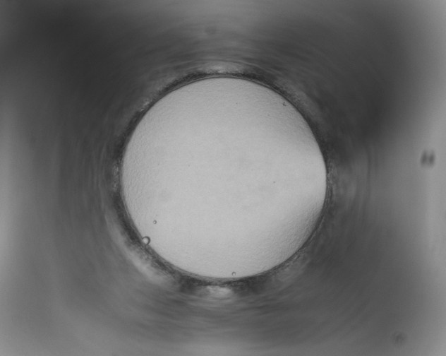 X0000113140159200909251313