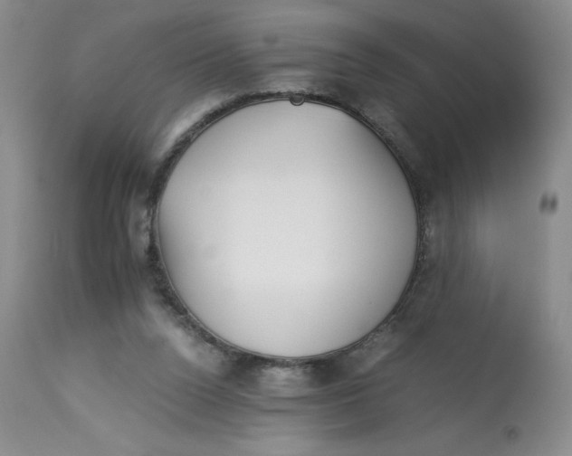 X0000113140160200909251313