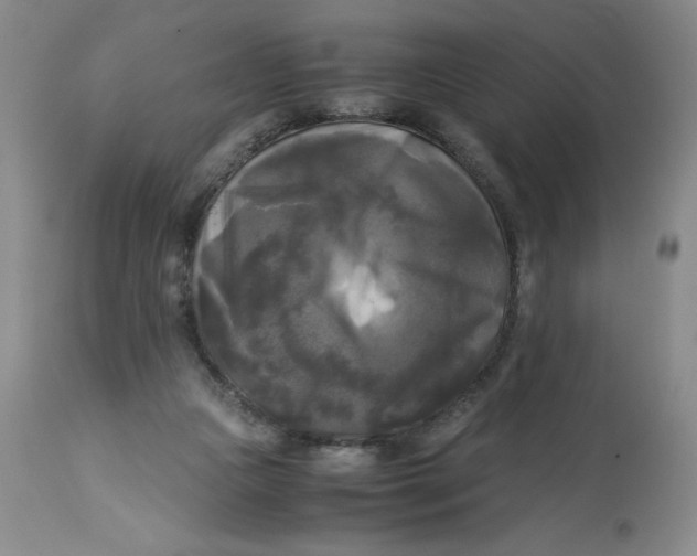 X0000113140161200909251313