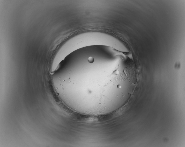 X0000113140162200909251313