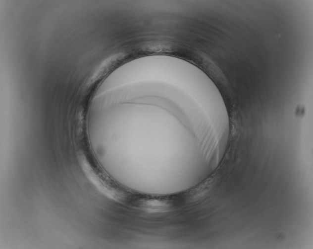 X0000113140163200909251313