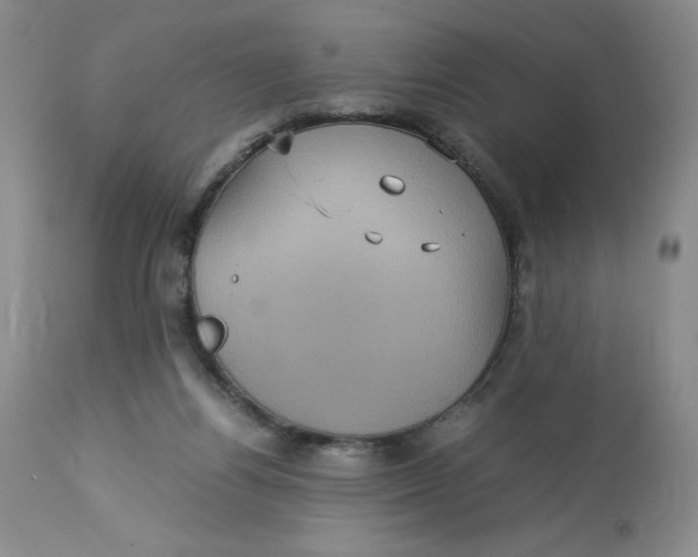 X0000113140164200909251313