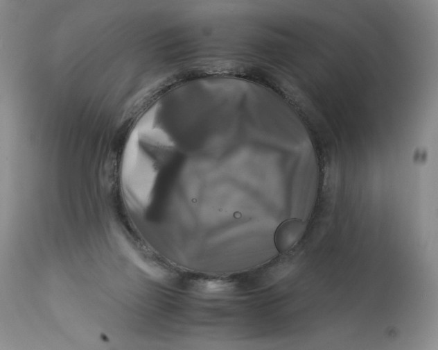 X0000113140165200909251313