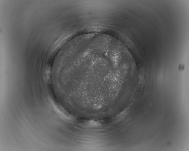 X0000113140166200909251313