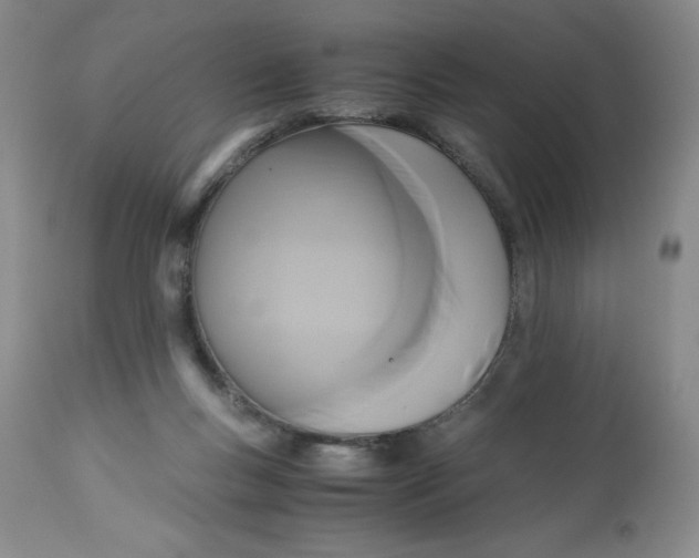 X0000113140167200909251313