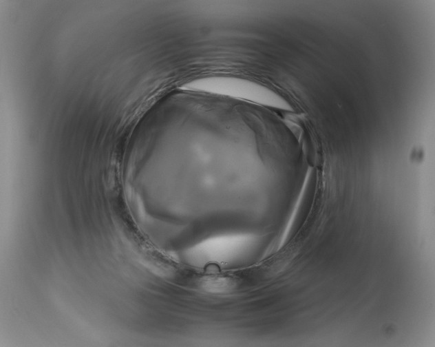 X0000113140169200909251313