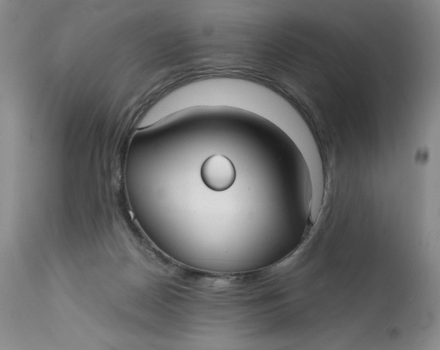 X0000113140170200909251313