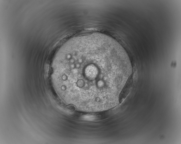 X0000113140171200909251313