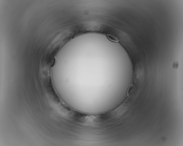 X0000113140172200909251313