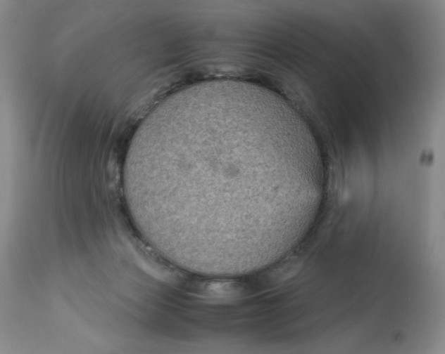 X0000113140173200909251313