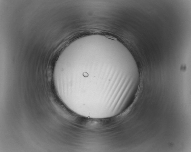 X0000113140174200909251313