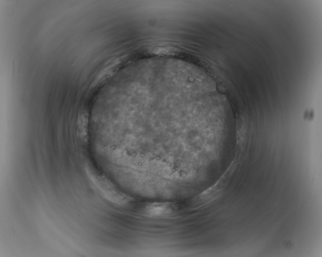 X0000113140175200909251313