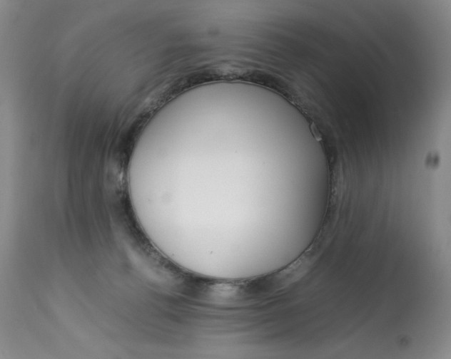 X0000113140176200909251313