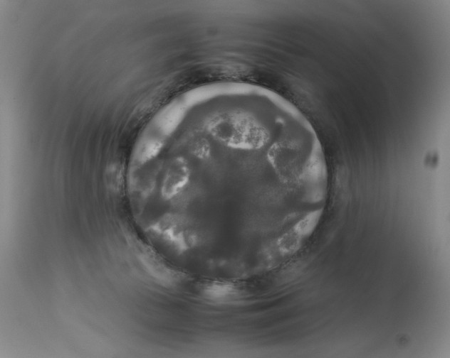 X0000113140177200909251313