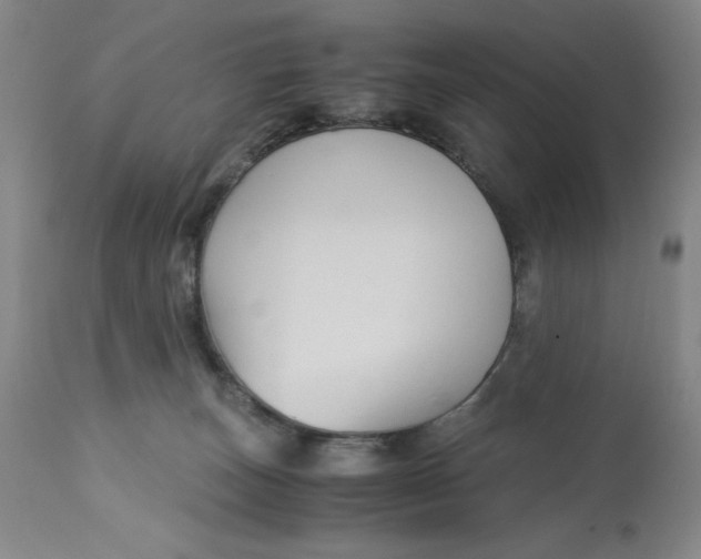 X0000113140179200909251313