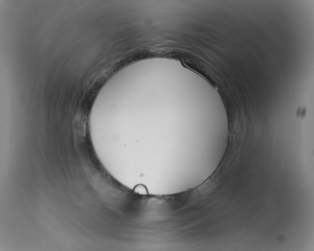 X0000113140180200909251313