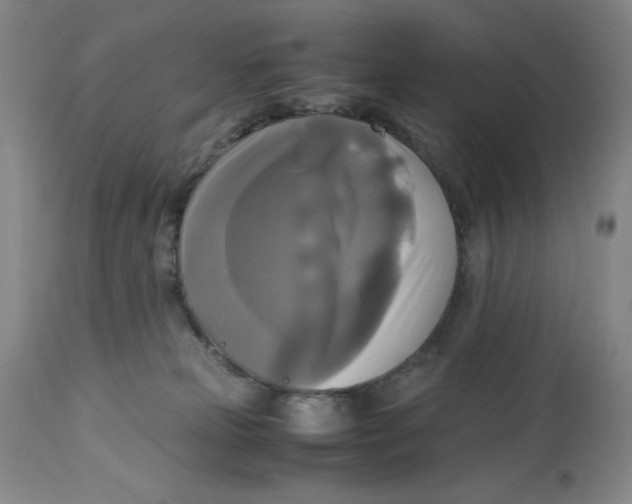 X0000113140181200909251313