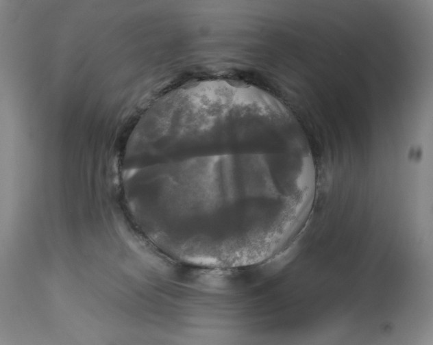 X0000113140182200909251313