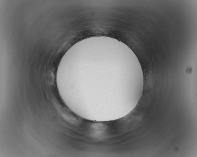 X0000113140183200909251313