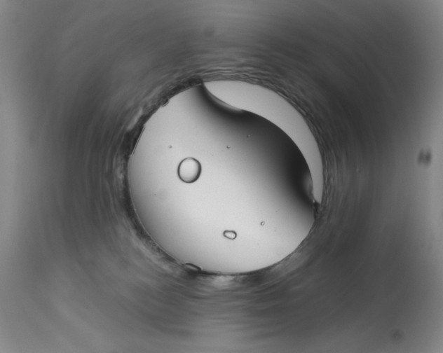 X0000113140184200909251313