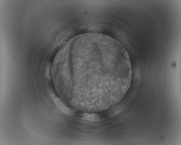 X0000113140185200909251313