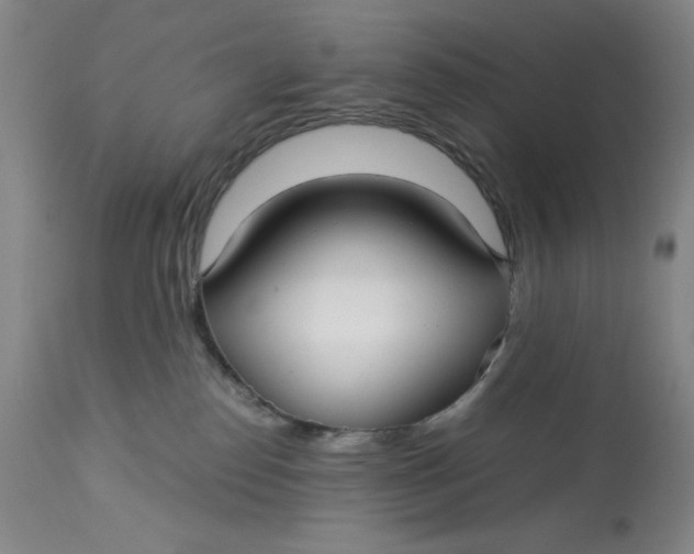 X0000113140186200909251313