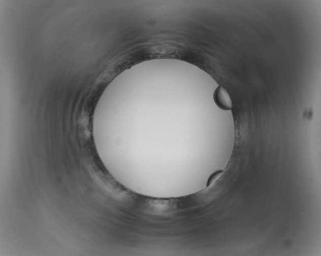 X0000113140187200909251313