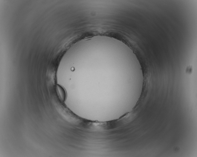 X0000113140188200909251313