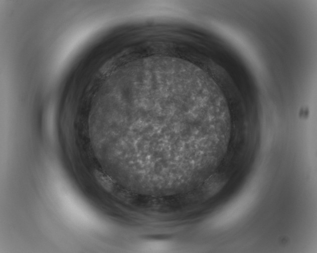 X0000113140189200909251313