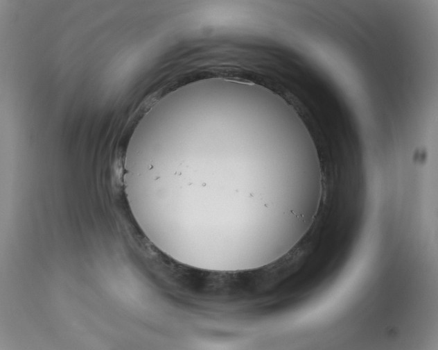 X0000113140190200909251313