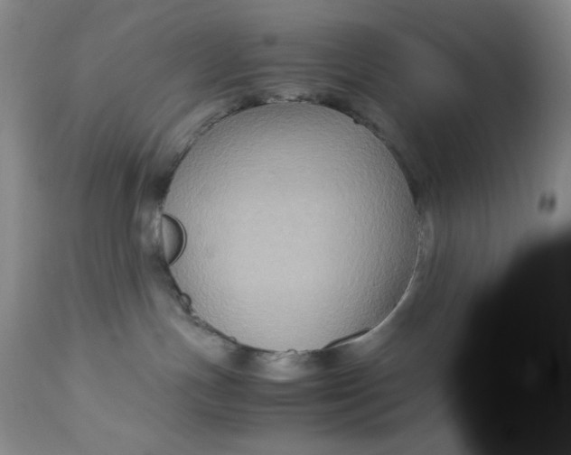 X0000113140191200909251313