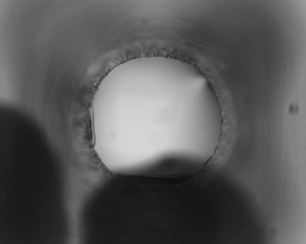 X0000113140192200909251313