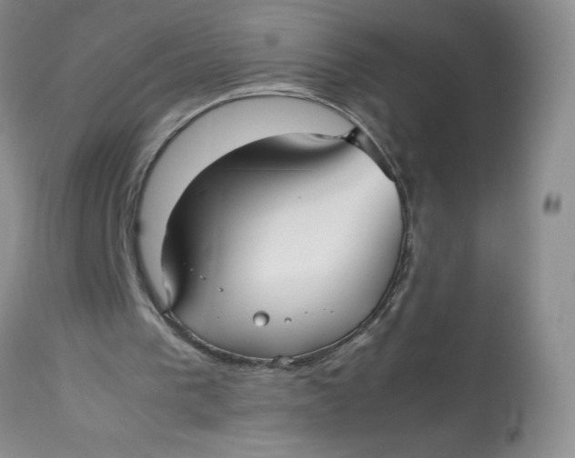 X0000113140193200909251312