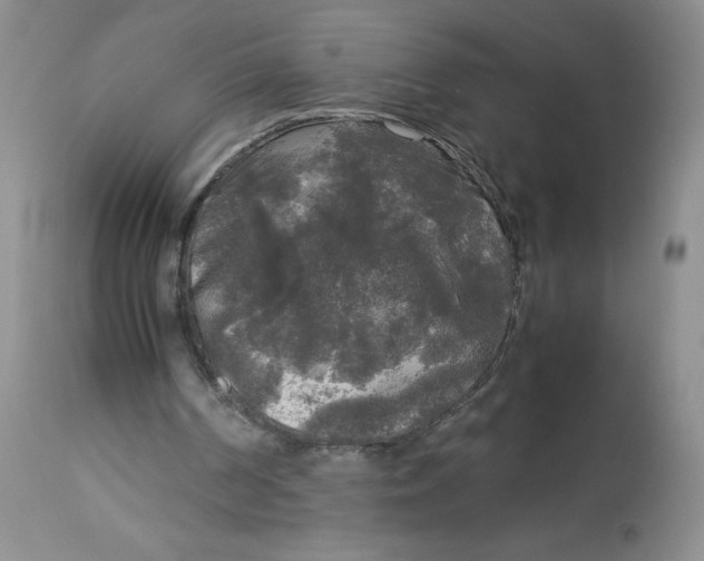 X0000113140194200909251312