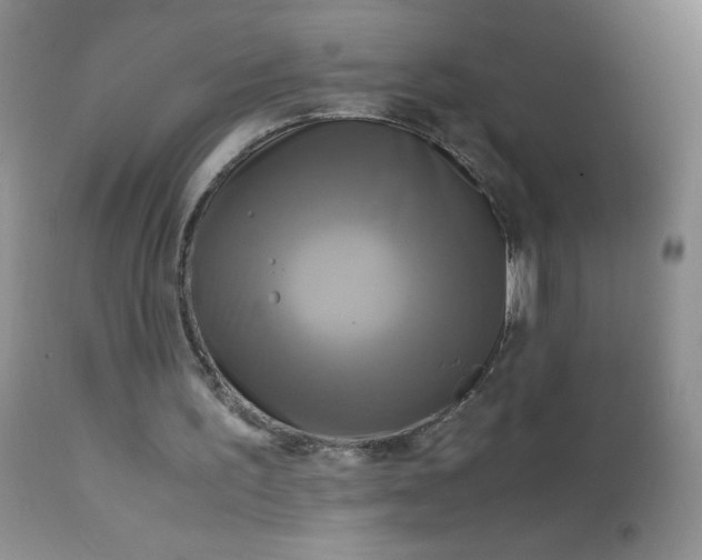 X0000113140195200909251312