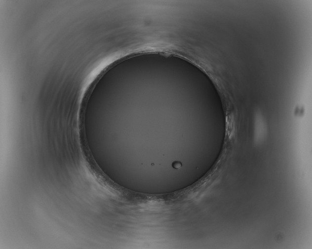 X0000113140196200909251312